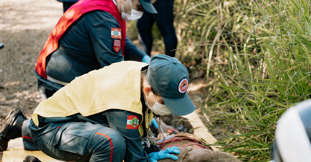 DDOS网页端平台|代理注册杭州公司注册公司