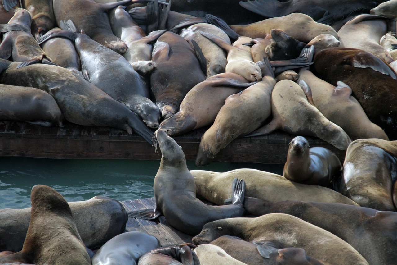 微信批发：九药网app详情下载教程