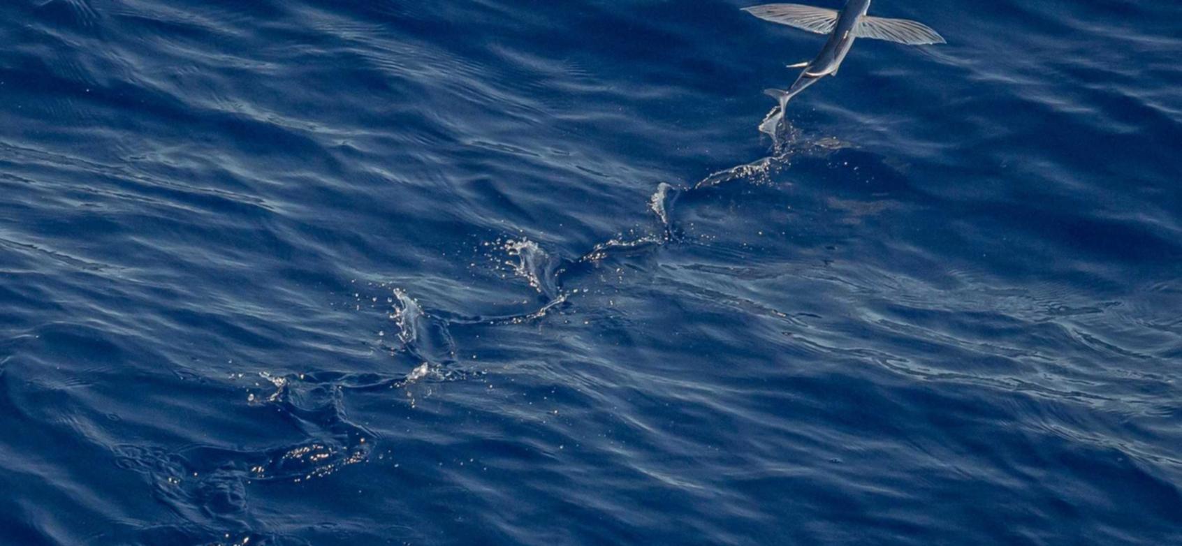 信无双2品牌事件营销的重要性和制定计划的技巧