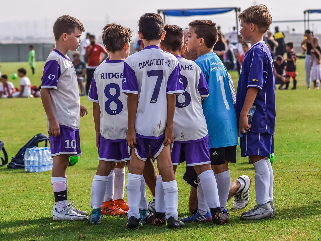 易名实名账号：辽阳防疫APP详情下载教程