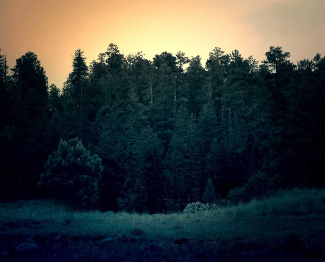 付费DDoS压力测试是一种专业的测试方法