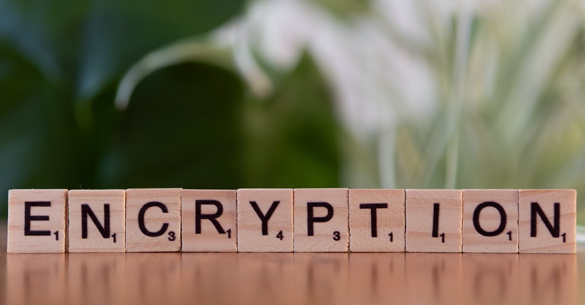 聚星老爸评测购买平台