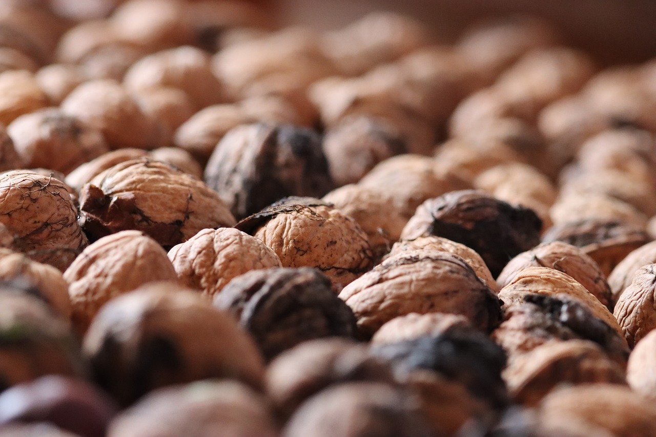 大小招卡实名账号：校ok app详情下载教程