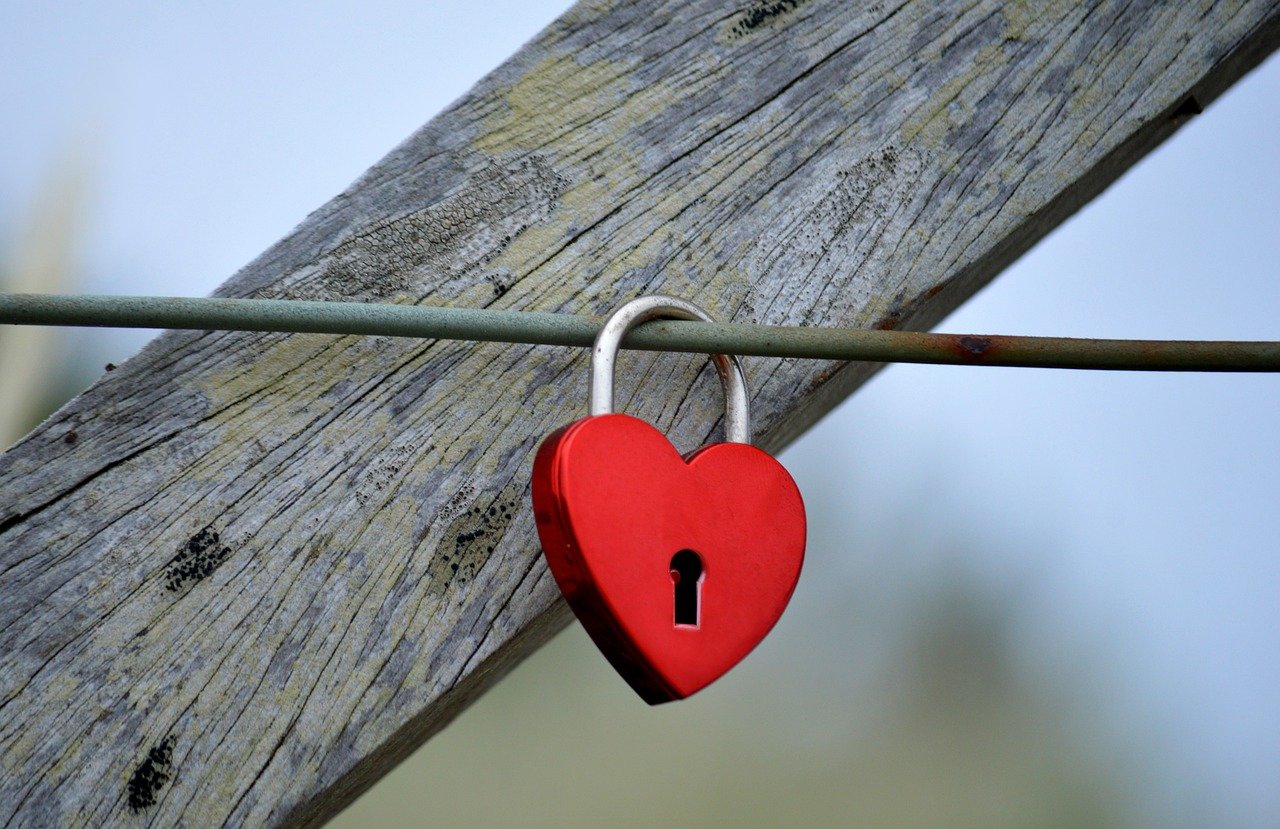 app源码软件详情下载教程