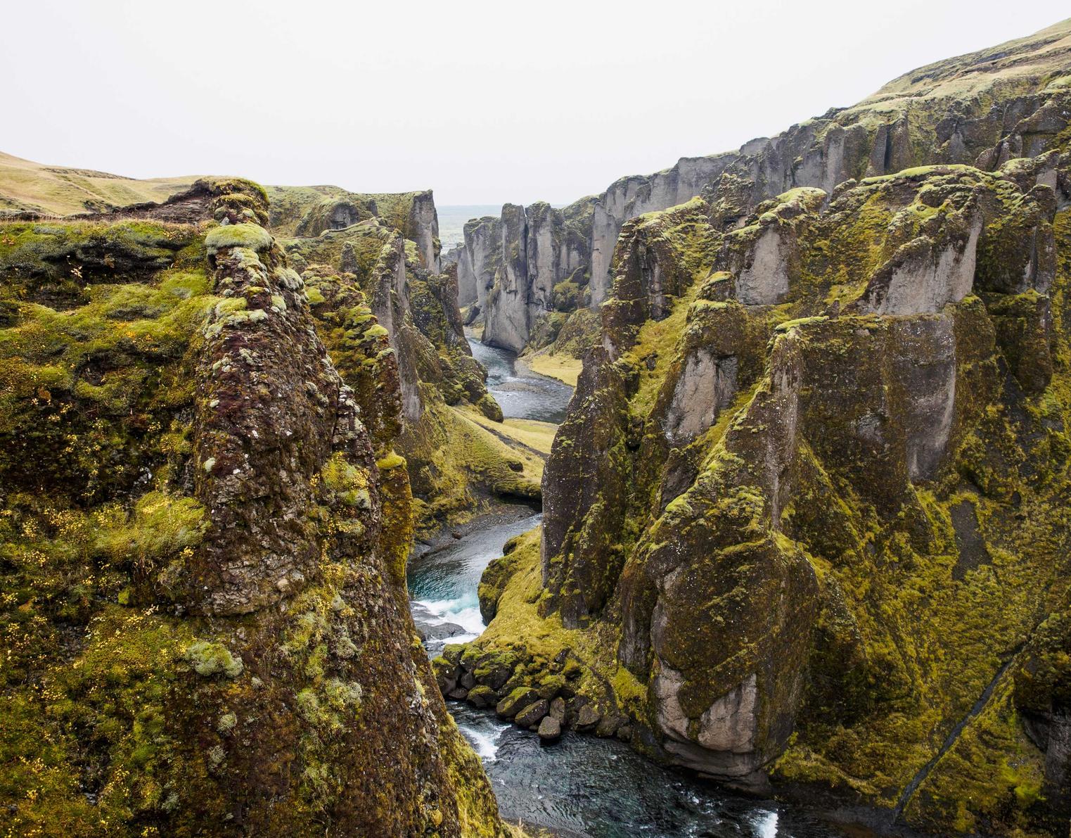 国外ddos攻击页端|忘记了股票开户账号和密码