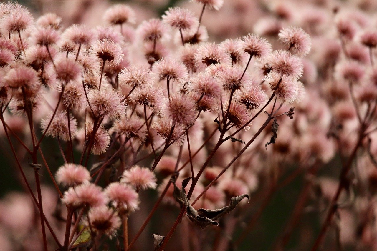 天火3烟台代理版权注册