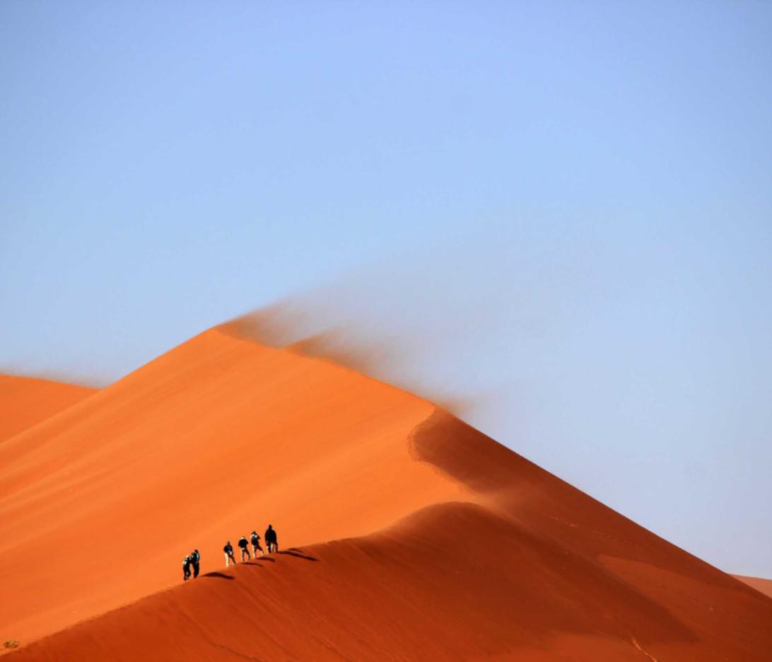 熊猫ip实名账号：实名账号是否会影响人们对互联网的使用习惯？